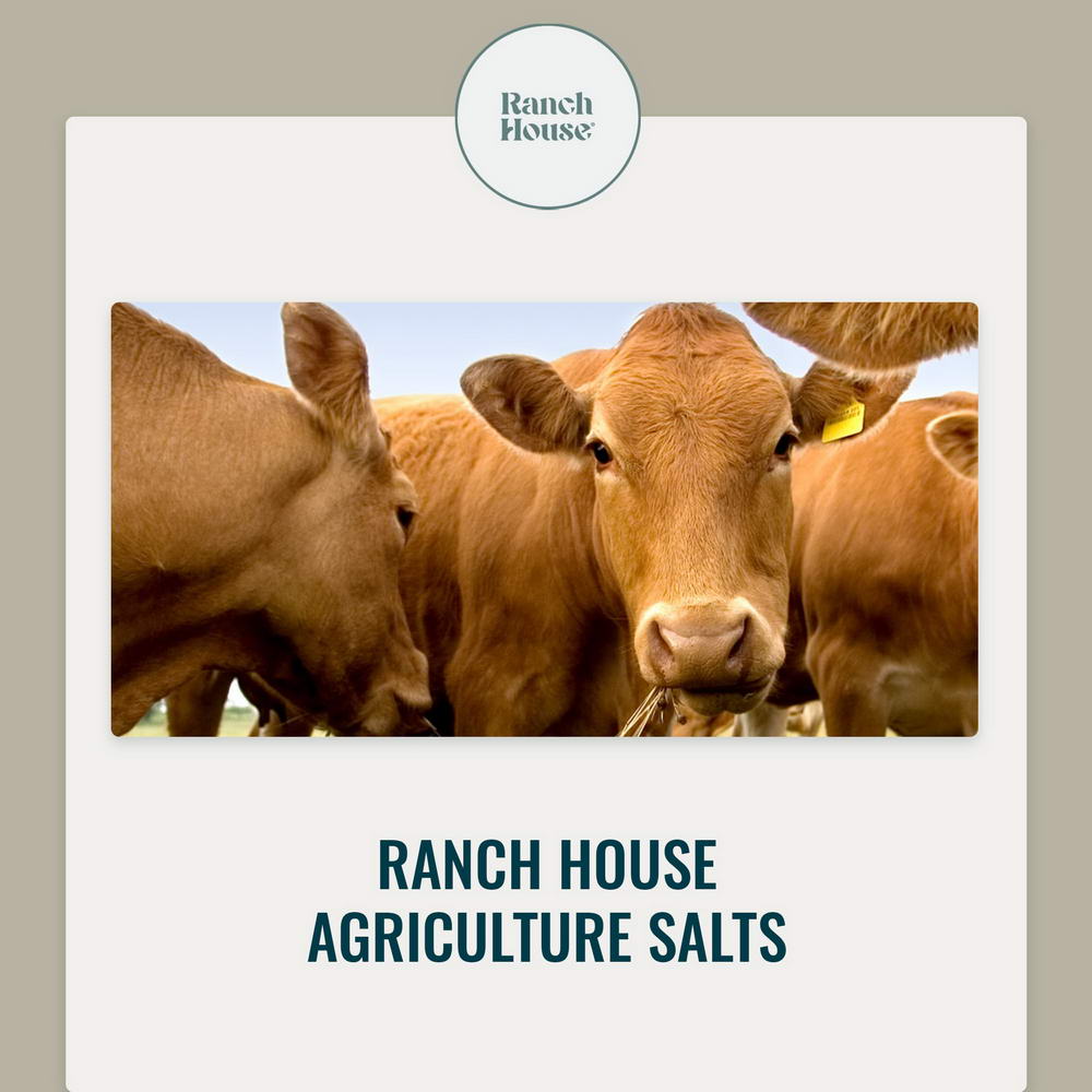 United Salt Corporation-Ranch House Salts CLEAR BACKGROUND - 2000px(1)_resize
