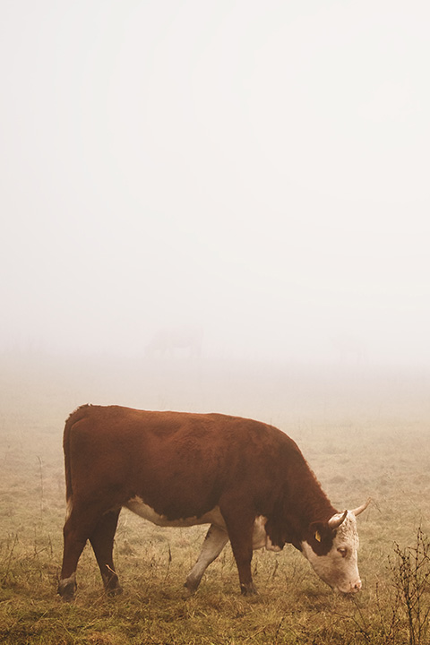 United Salt Corporation - Our Brands-Rach House SaltsUnited Salt Corporation - Our Brands-Rach House Salts_2