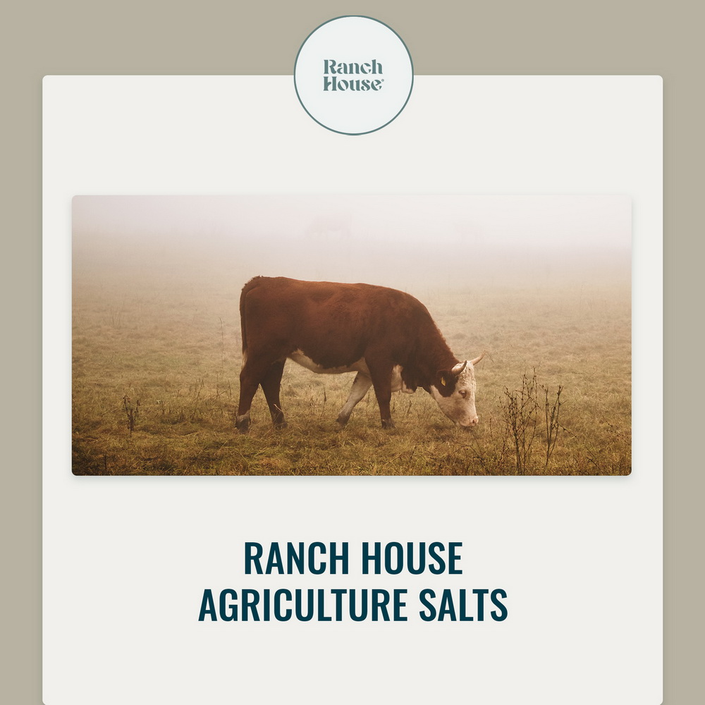 United Salt Corporation-Ranch House Salts CLEAR BACKGROUND - 2000px(11.3.24)_resize